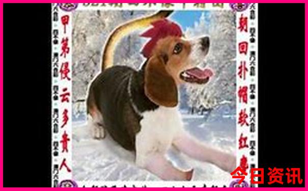 7月适合去哪些地方旅游